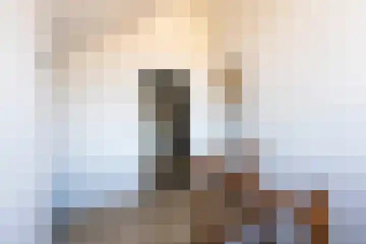 Ingenieurslaan 10 Tilburg thumbnail 54