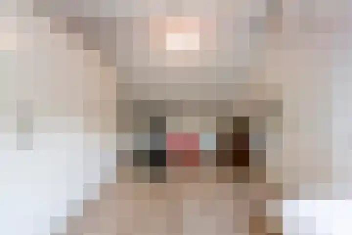 Ingenieurslaan 10 Tilburg thumbnail 58