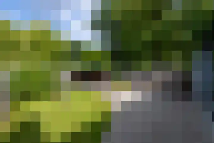 Ingenieurslaan 10 Tilburg thumbnail 61