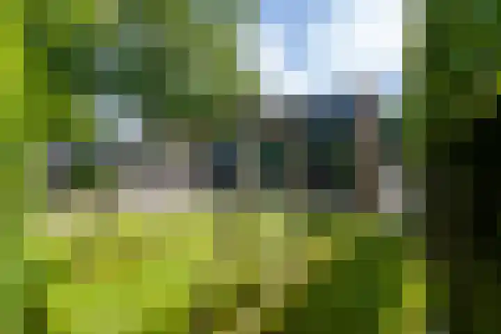 Ingenieurslaan 10 Tilburg thumbnail 62