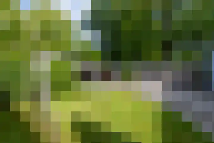 Ingenieurslaan 10 Tilburg thumbnail 63