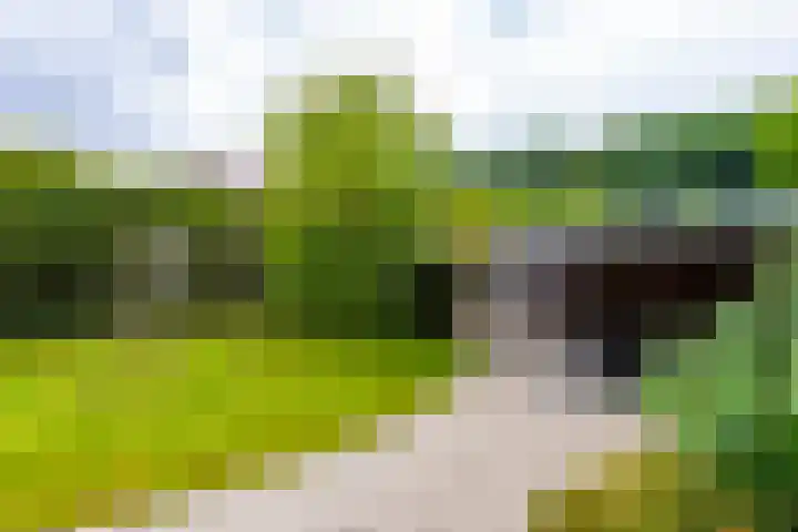 Ingenieurslaan 10 Tilburg thumbnail 64