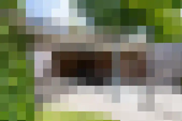 Ingenieurslaan 10 Tilburg thumbnail 67