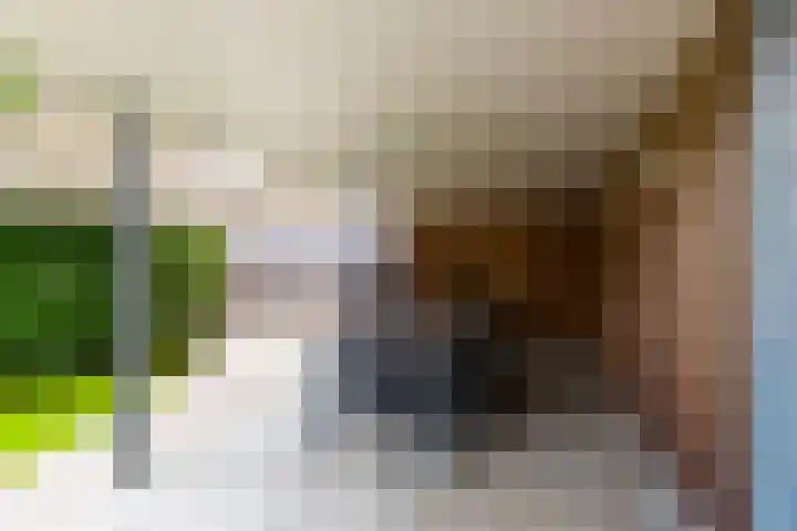 Ingenieurslaan 10 Tilburg thumbnail 68