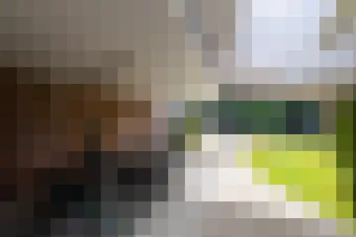 Ingenieurslaan 10 Tilburg thumbnail 69