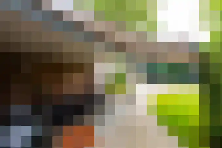 Ingenieurslaan 10 Tilburg thumbnail 70