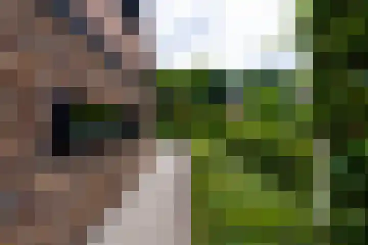 Ingenieurslaan 10 Tilburg thumbnail 72