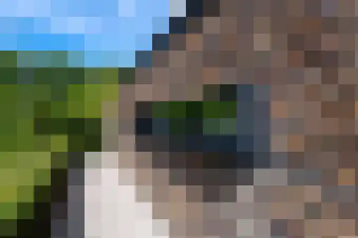 Ingenieurslaan 10 Tilburg thumbnail 73