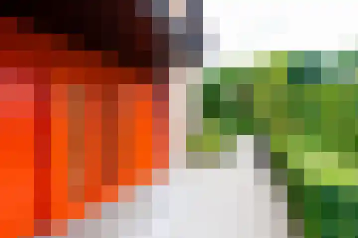 Ingenieurslaan 10 Tilburg thumbnail 75