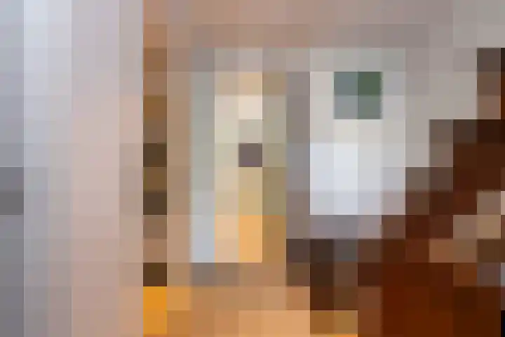 Ingenieurslaan 10 Tilburg thumbnail 8