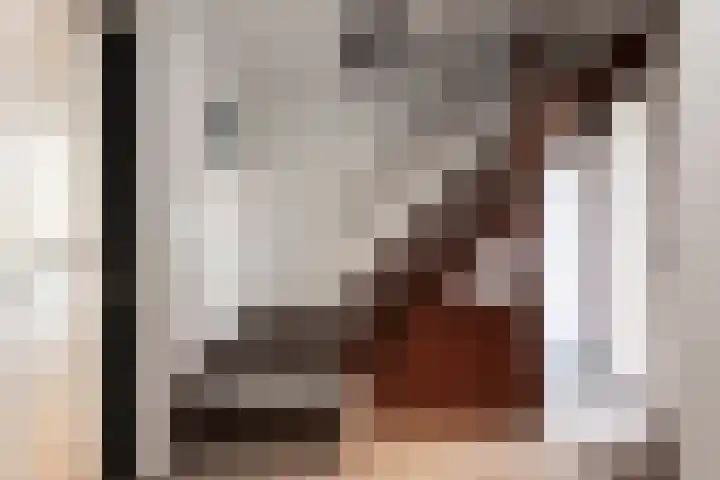 Ingenieurslaan 10 Tilburg thumbnail 9