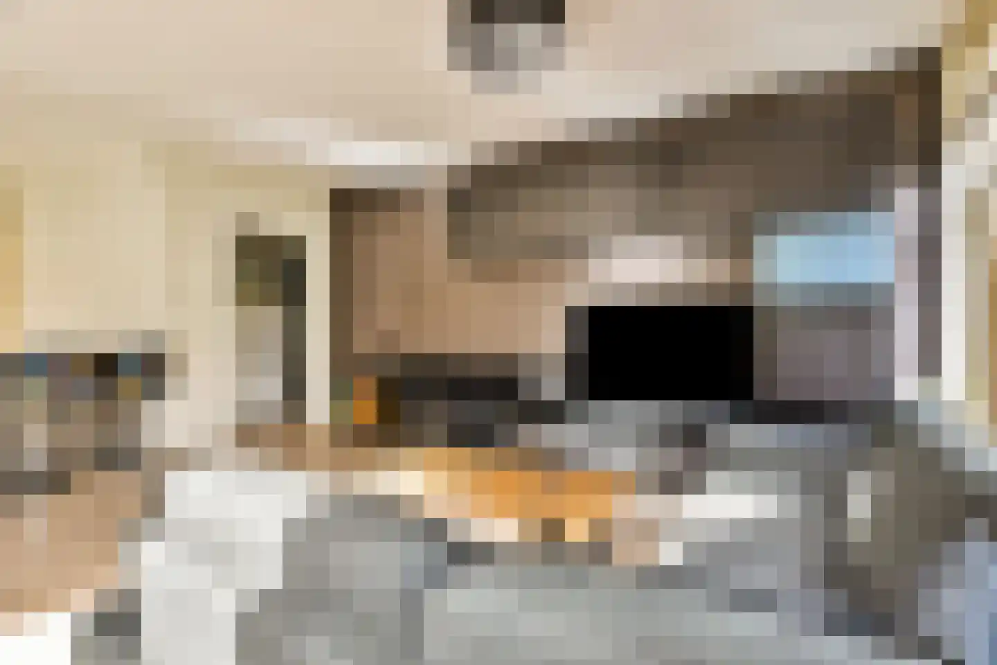 Ingogostraat 14 C Amsterdam thumbnail 7