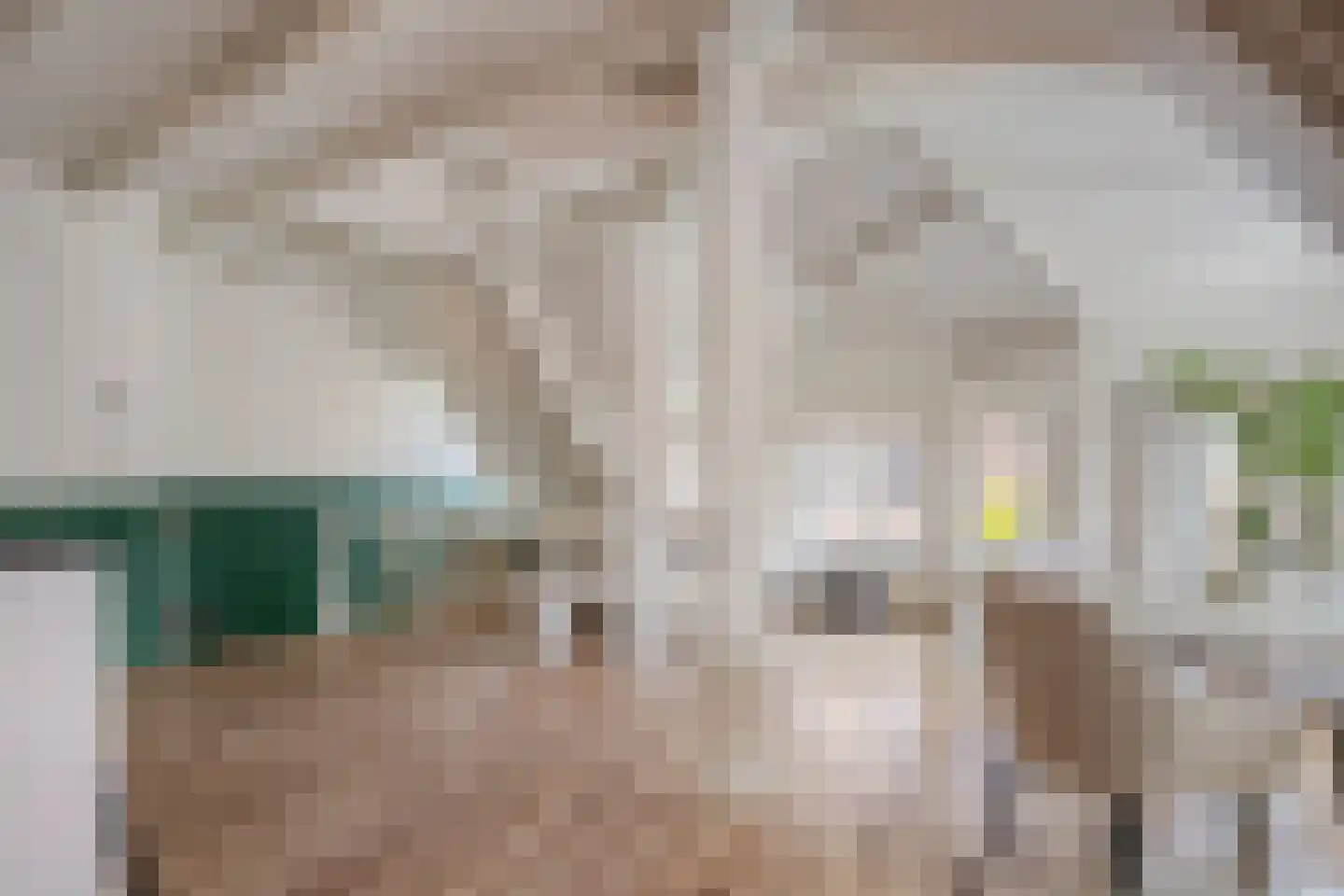 Ingogostraat 14 E Amsterdam thumbnail 6