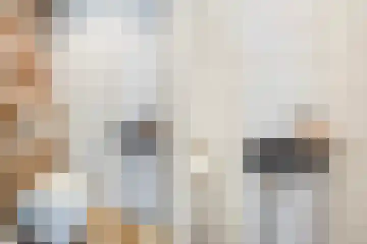 Ingrid Bergmanborg 1 Schiedam thumbnail 11