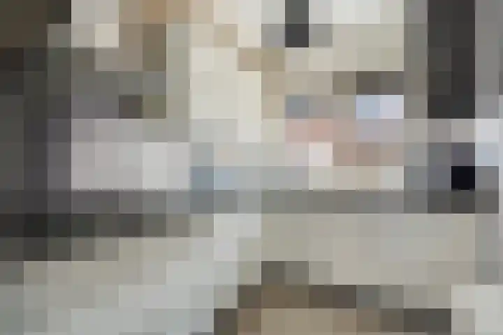 Ingrid Bergmanborg 1 Schiedam thumbnail 13