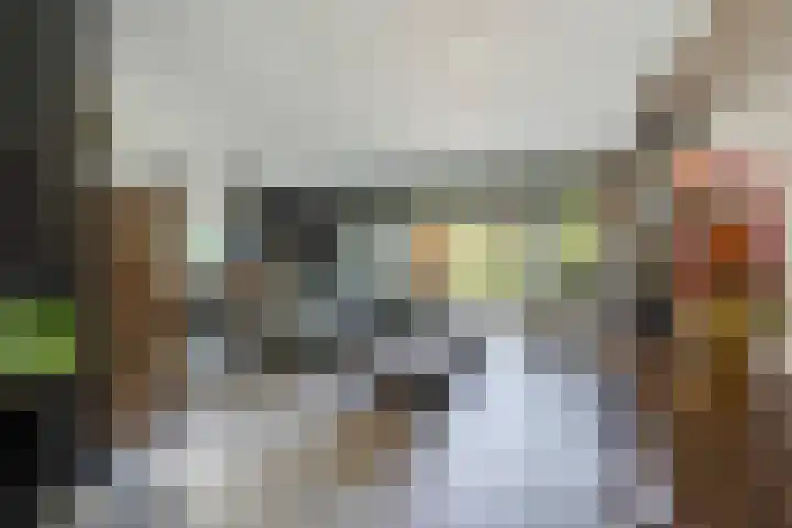 Ingrid Bergmanborg 1 Schiedam thumbnail 15