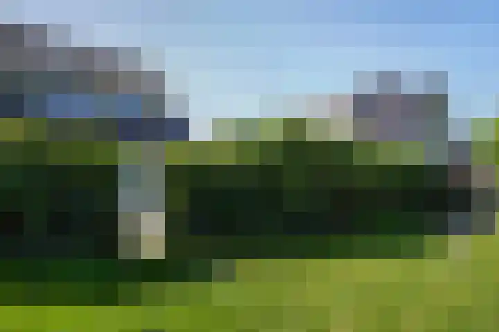 Ingrid Bergmanborg 1 Schiedam thumbnail 27
