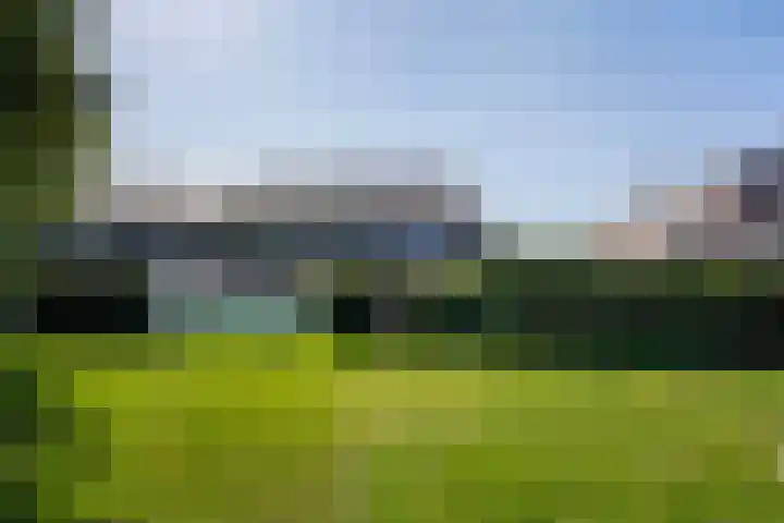 Ingrid Bergmanborg 1 Schiedam thumbnail 29