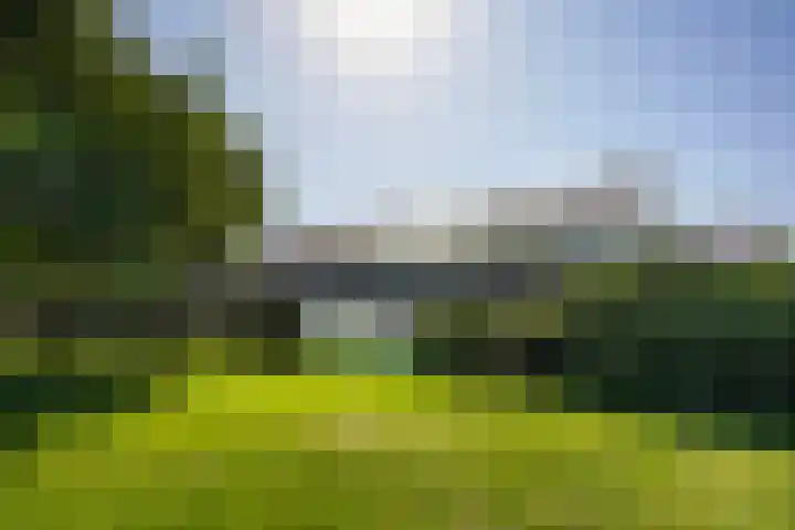 Ingrid Bergmanborg 1 Schiedam thumbnail 30