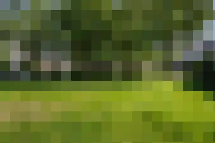 Ingrid Bergmanborg 1 Schiedam thumbnail 31