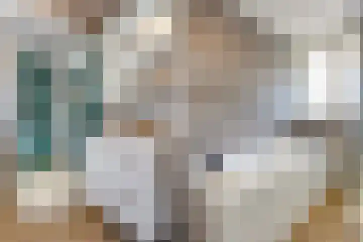 Ingrid Bergmanborg 1 Schiedam thumbnail 41