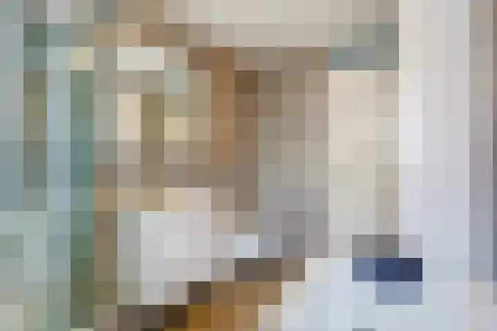 Ingrid Bergmanborg 1 Schiedam thumbnail 43