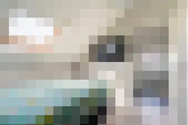 Ingrid Bergmanborg 1 Schiedam thumbnail 48
