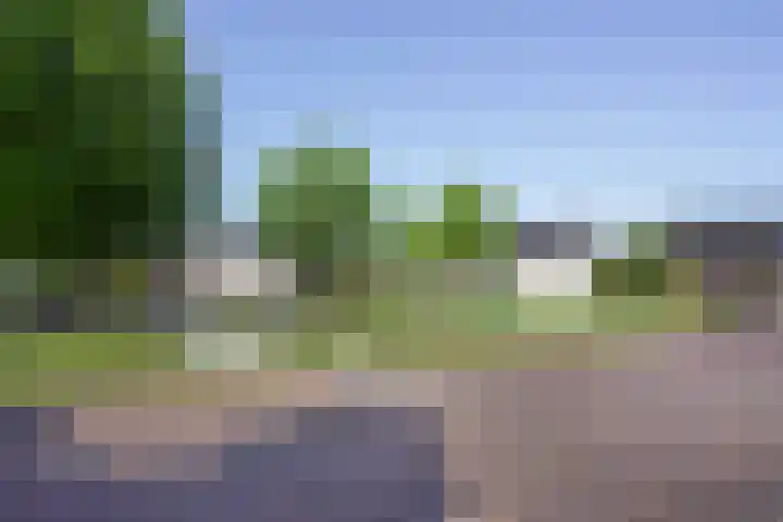 Ingrid Bergmanborg 1 Schiedam thumbnail 53