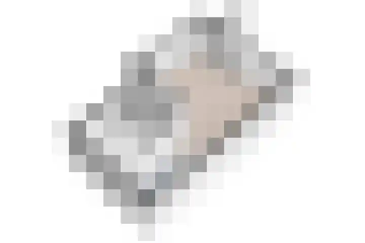 Ingrid Bergmanborg 1 Schiedam thumbnail 55