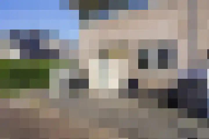 Ingrid Bergmanborg 1 Schiedam thumbnail 8