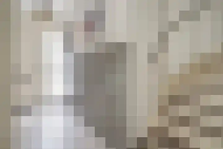 Ingrid Bergmanborg 1 Schiedam thumbnail 9