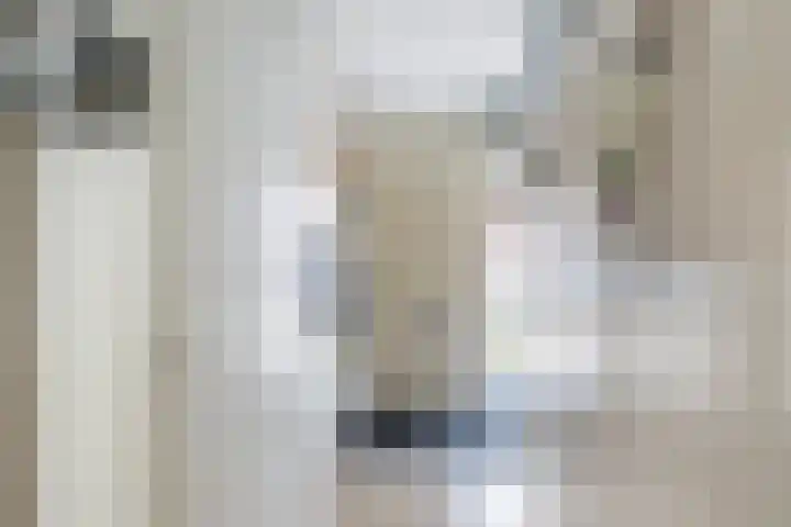 Ingrid Bergmanborg 7 Schiedam thumbnail 11