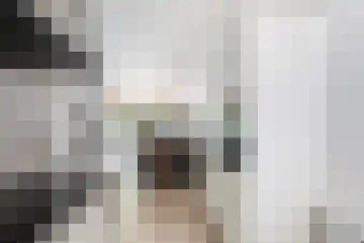 Ingrid Bergmanborg 7 Schiedam thumbnail 15