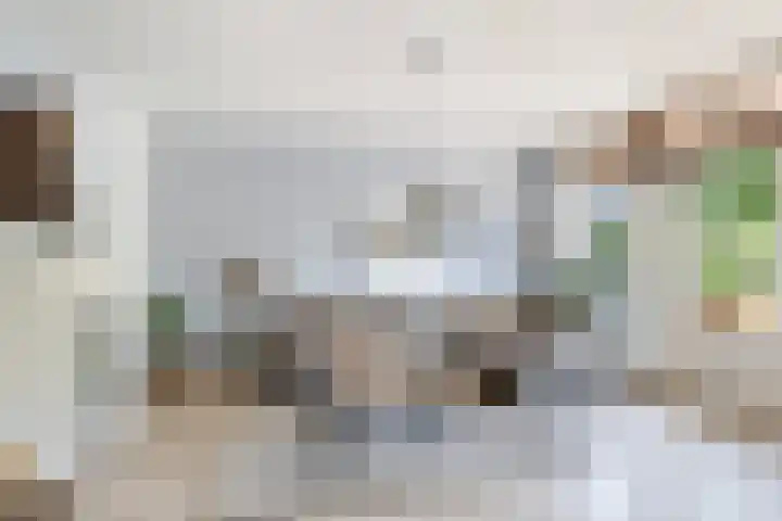 Ingrid Bergmanborg 7 Schiedam thumbnail 18