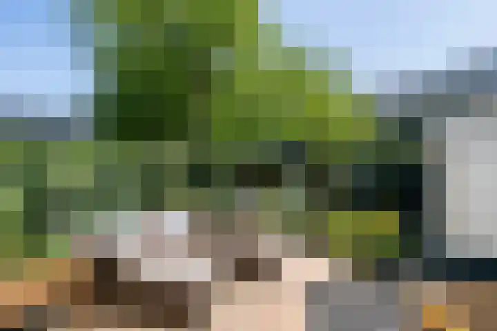 Ingrid Bergmanborg 7 Schiedam thumbnail 21