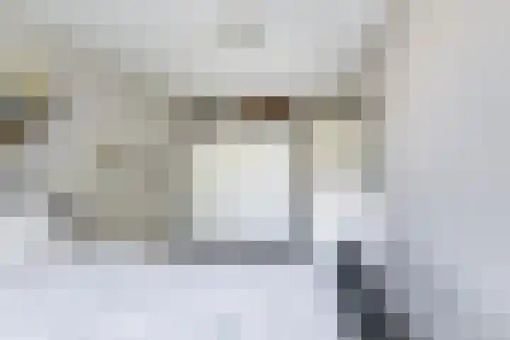 Ingrid Bergmanborg 7 Schiedam thumbnail 27