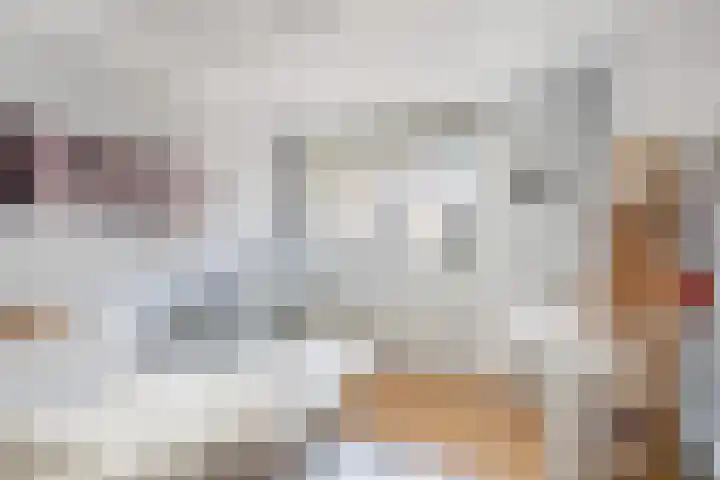Ingrid Bergmanborg 7 Schiedam thumbnail 28