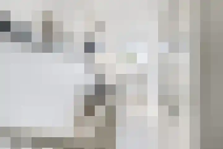 Ingrid Bergmanborg 7 Schiedam thumbnail 37