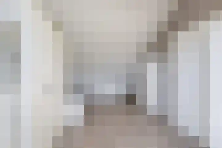 Ingrid Bergmanborg 7 Schiedam thumbnail 39