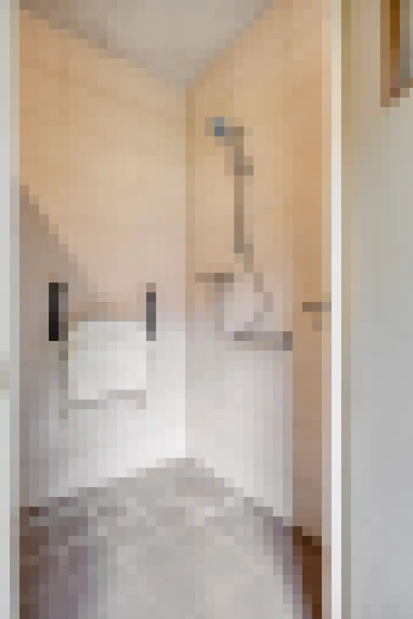 Ingstraat 2 Leveroy thumbnail 21