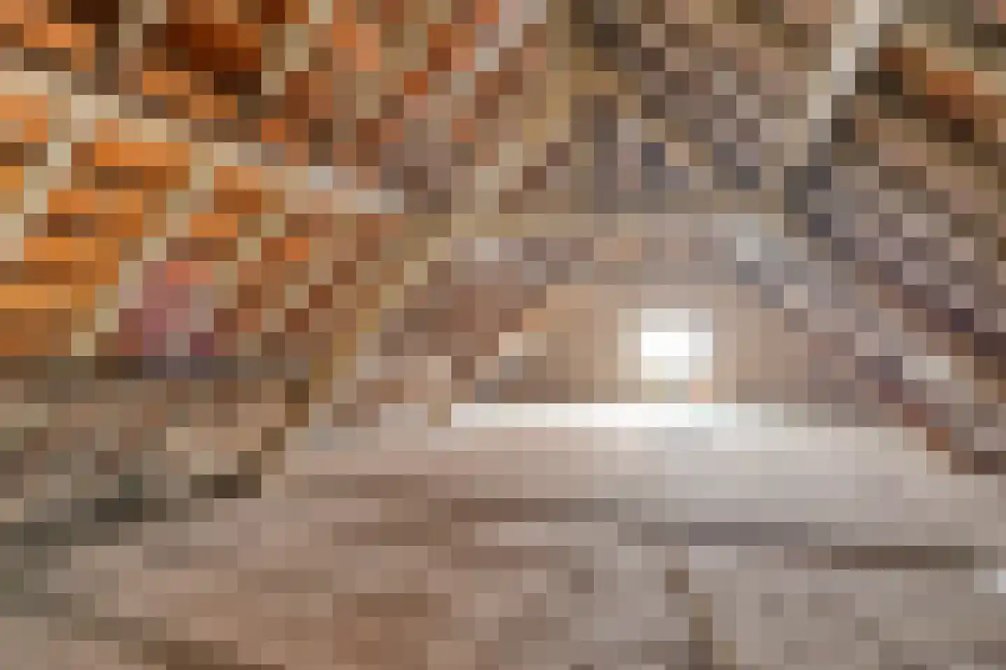 Ingstraat 2 Leveroy thumbnail 31