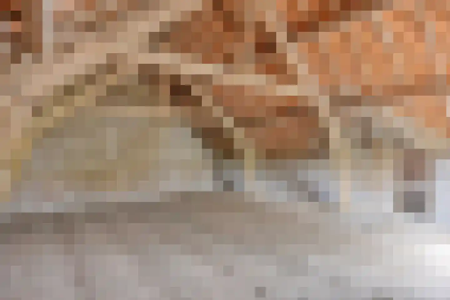 Ingstraat 2 Leveroy thumbnail 32