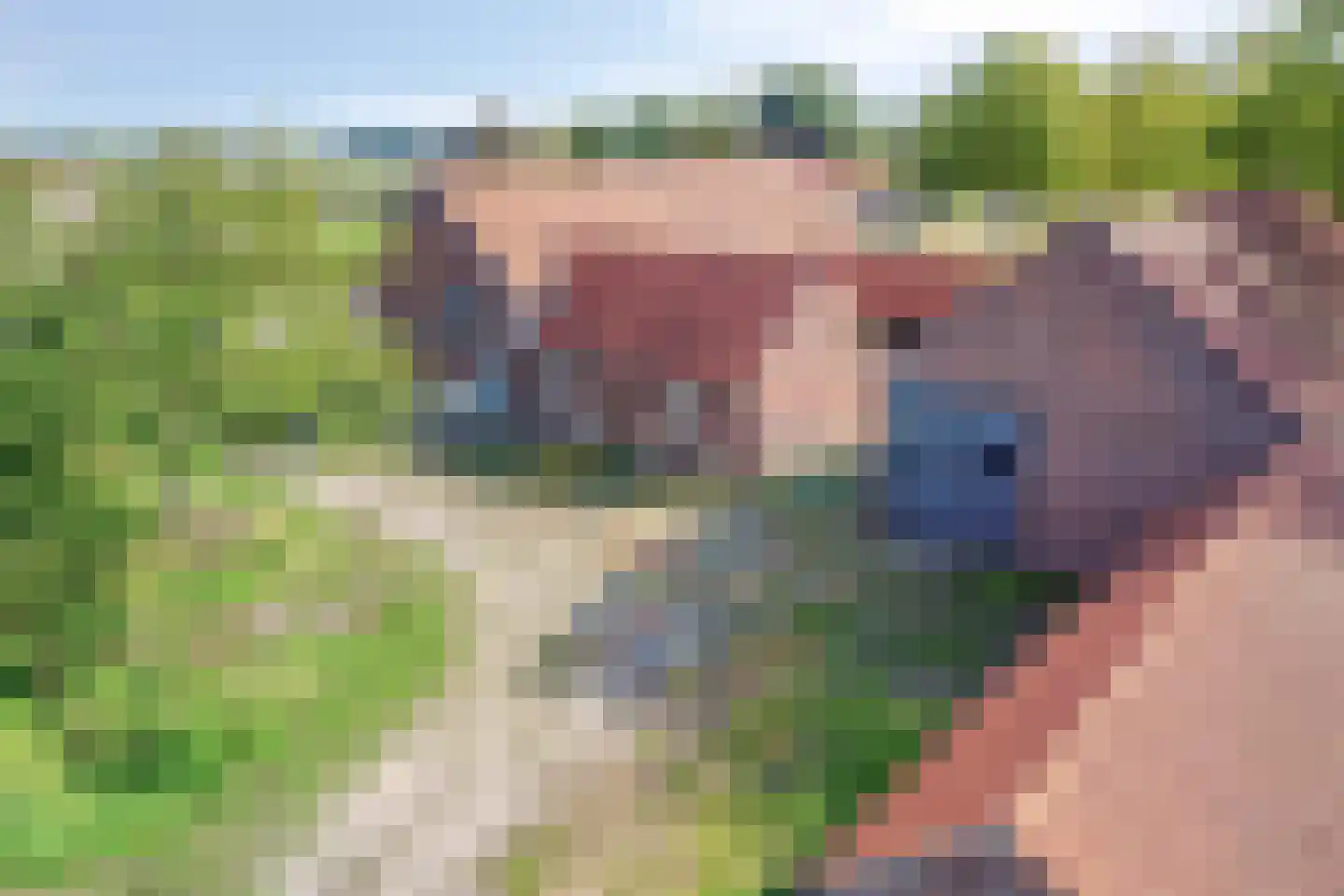 Ingstraat 2 Leveroy thumbnail 45