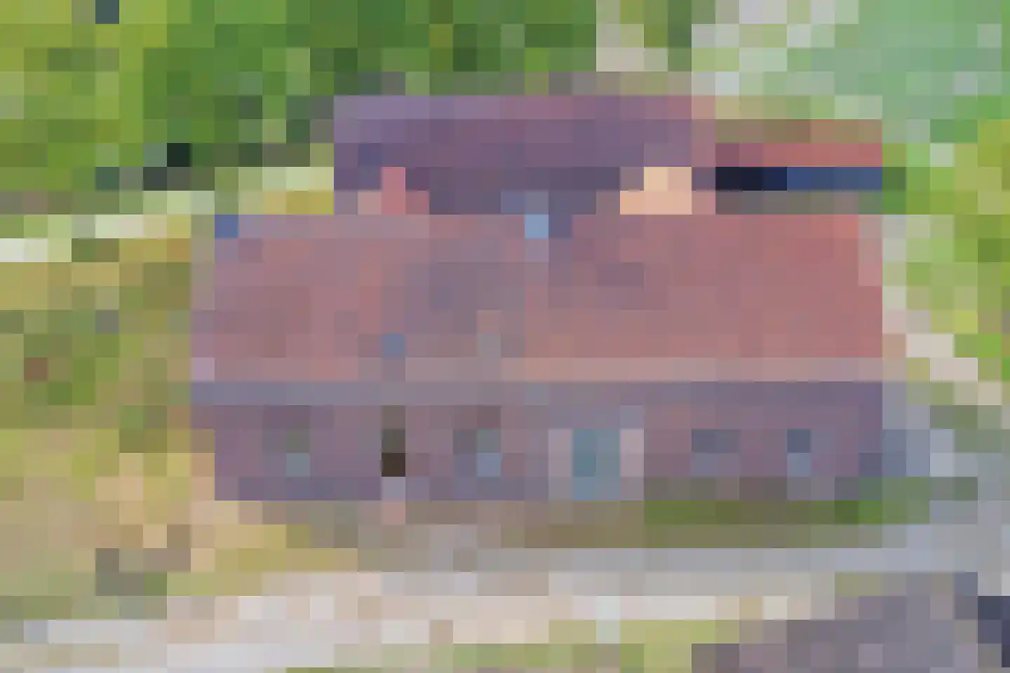 Ingstraat 2 Leveroy thumbnail 46