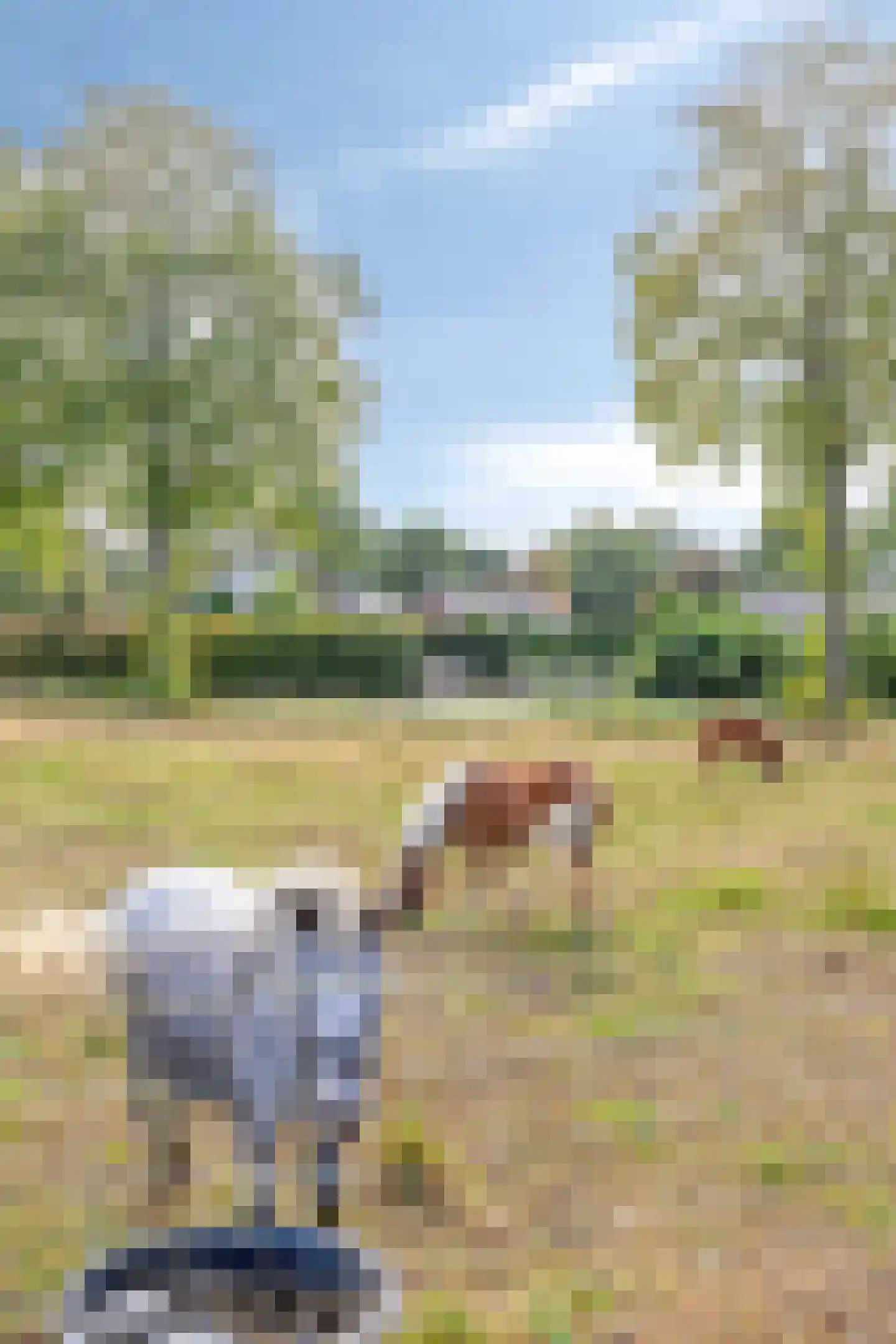Ingstraat 2 Leveroy thumbnail 6
