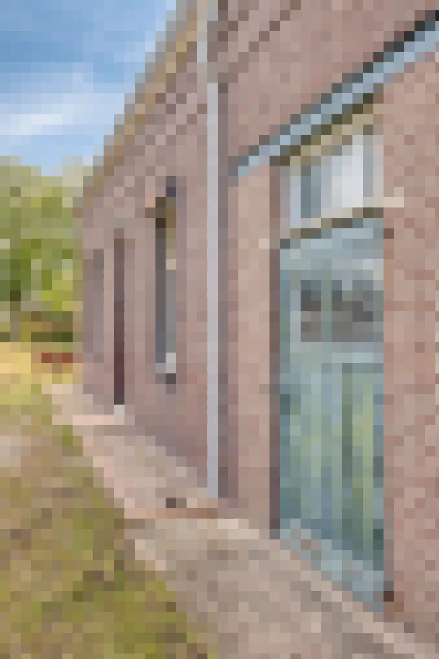 Ingstraat 2 Leveroy thumbnail 7