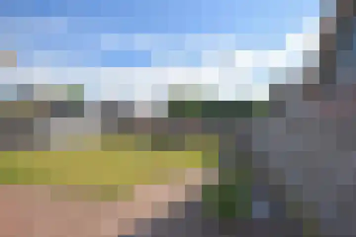 Inialoane 1 E Garyp thumbnail 14