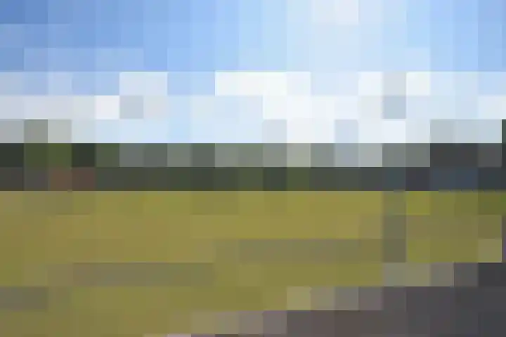 Inialoane 1 E Garyp thumbnail 16