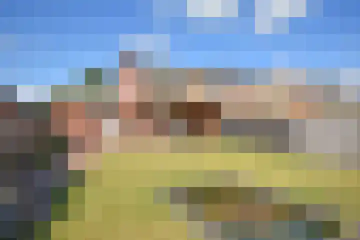 Inialoane 1 E Garyp thumbnail 17