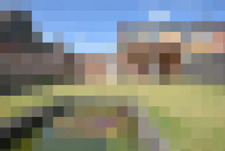 Inialoane 1 E Garyp thumbnail 19